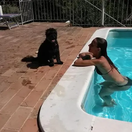 Civettina