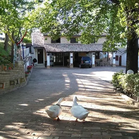 Chalet Civettina Senigallia